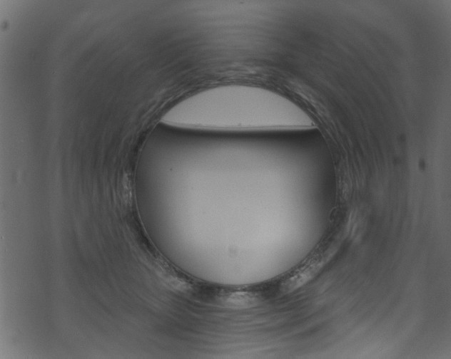 X0000074340467200608251050