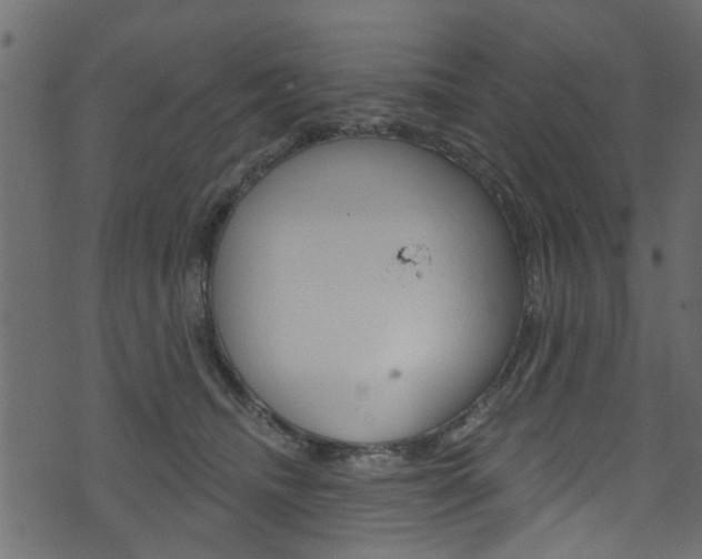 X0000074340468200608251050