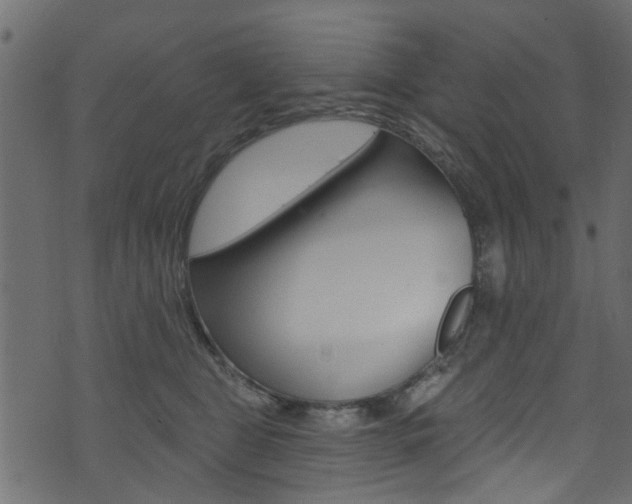 X0000074340469200608251050