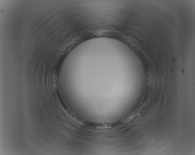 X0000074340470200608251050