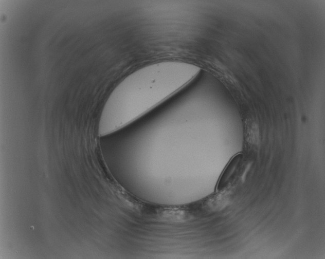 X0000074340471200608251050