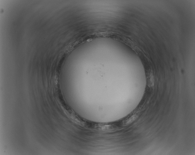 X0000074340472200608251050