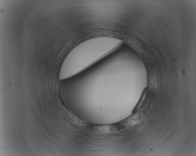 X0000074340473200608251050