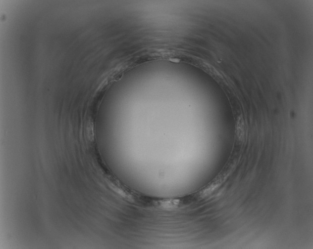 X0000074340474200608251050