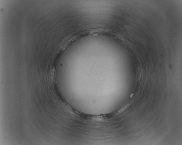 X0000074340475200608251050