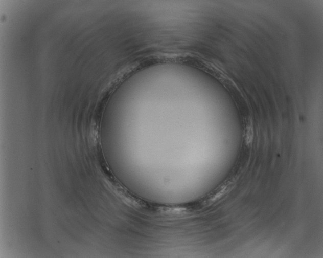 X0000074340476200608251050