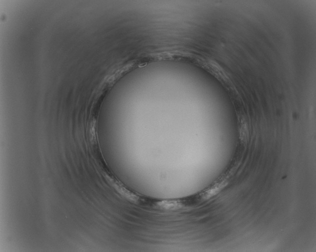 X0000074340477200608251050