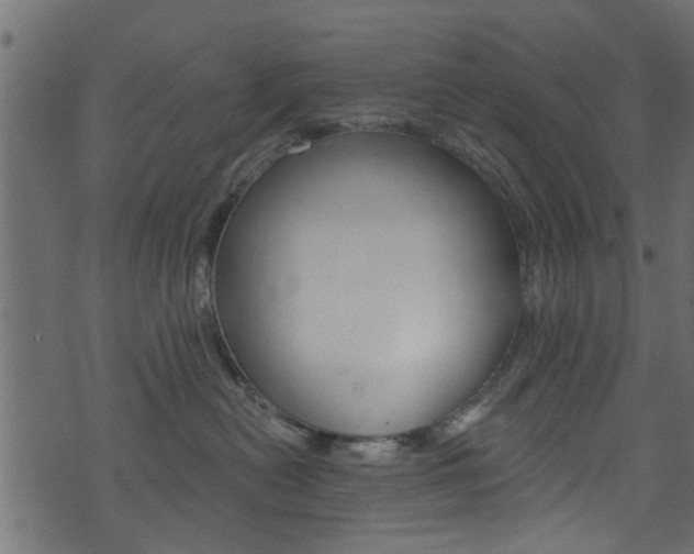 X0000074340478200608251050