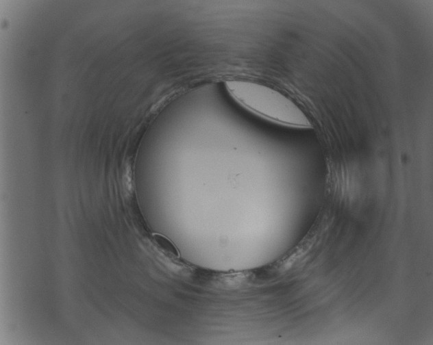 X0000074340479200608251050