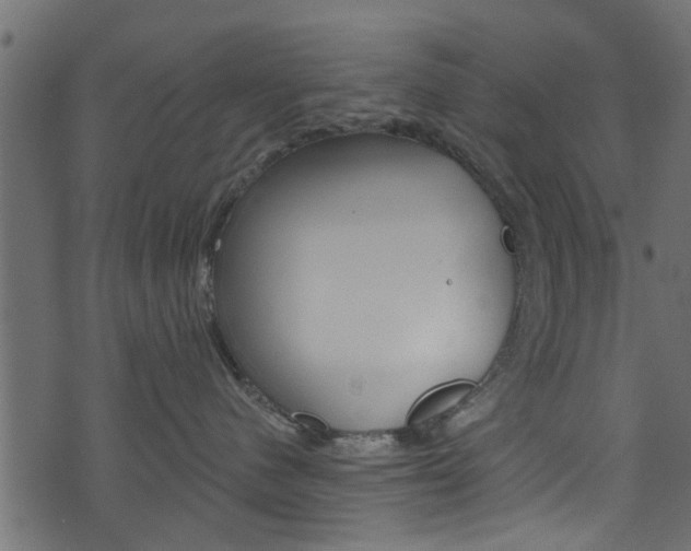 X0000074340480200608251050