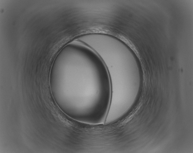 X0000074340481200608251049