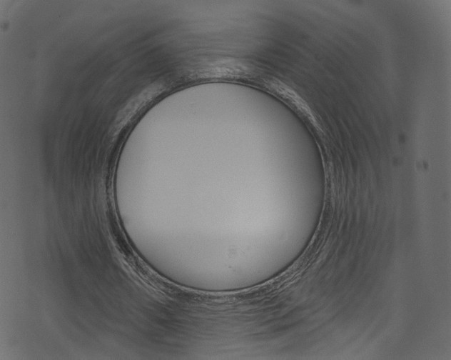 X0000074340482200608251049