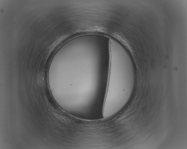 X0000074340483200608251049