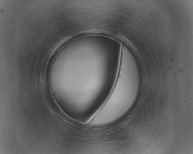 X0000074340484200608251049