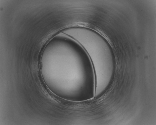 X0000074340485200608251049