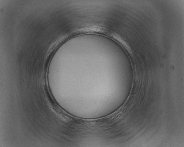 X0000074340486200608251049