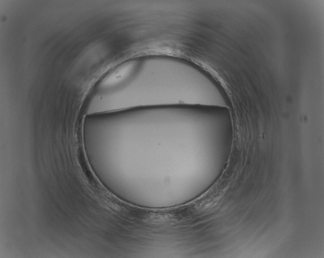 X0000074340487200608251049