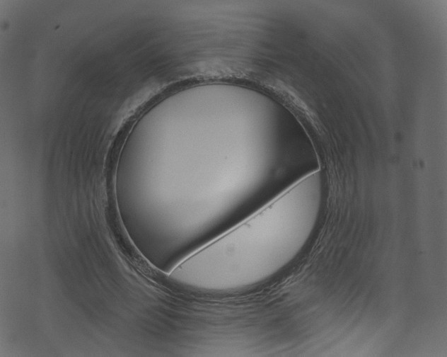 X0000074340488200608251049