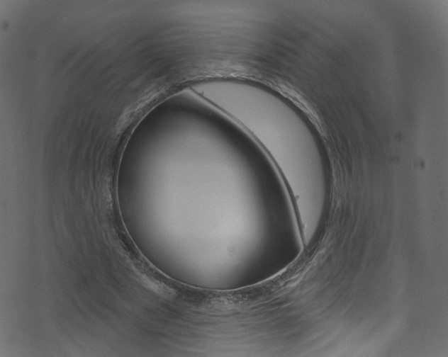 X0000074340489200608251049