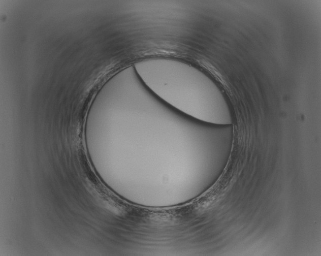 X0000074340490200608251049