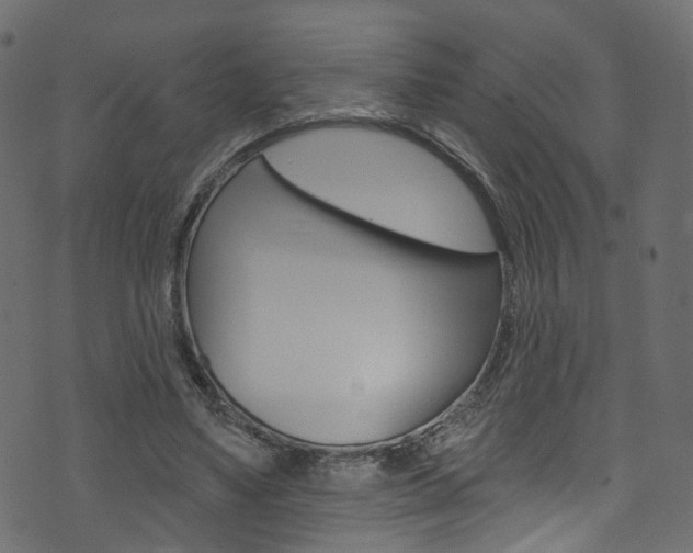 X0000074340491200608251049