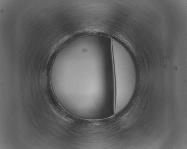 X0000074340492200608251049