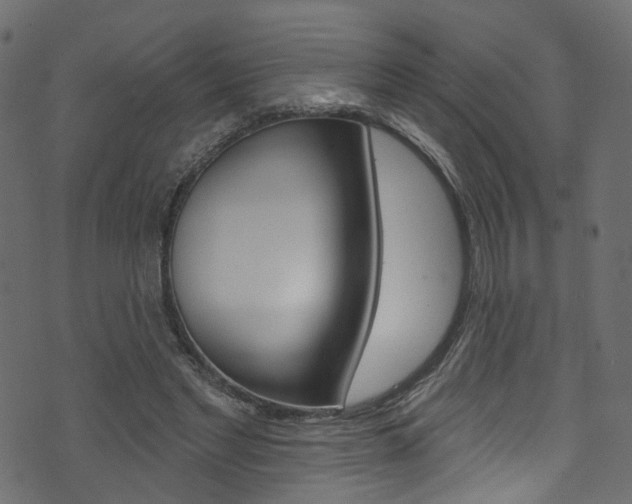 X0000074340493200608251049