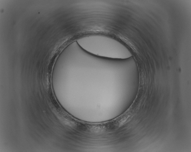 X0000074340494200608251049