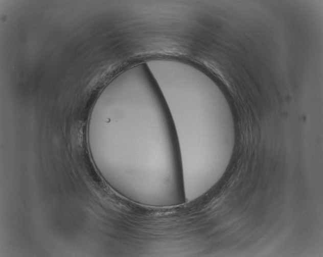 X0000074340495200608251049