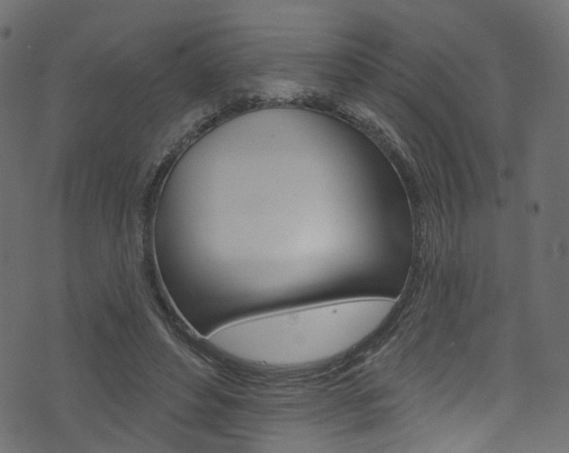 X0000074340496200608251049