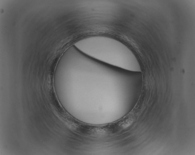 X0000074340498200608251049