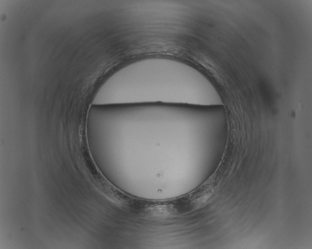 X0000074340499200608251049