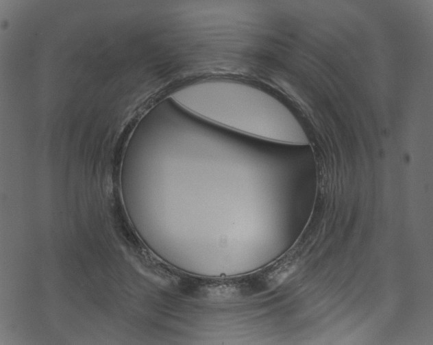 X0000074340500200608251049