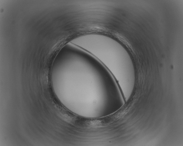 X0000074340501200608251049