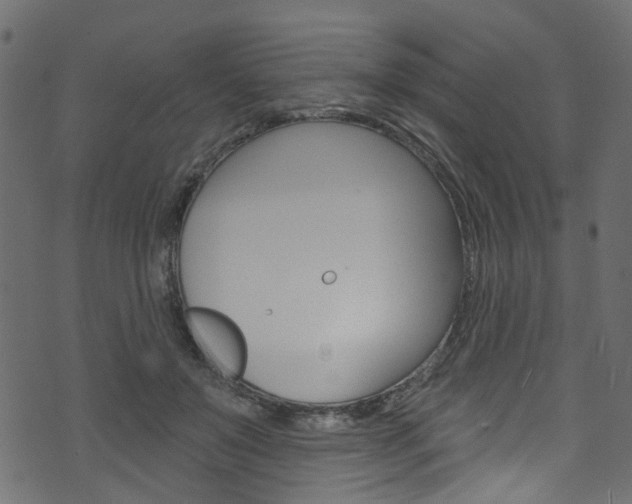 X0000074340503200608251049