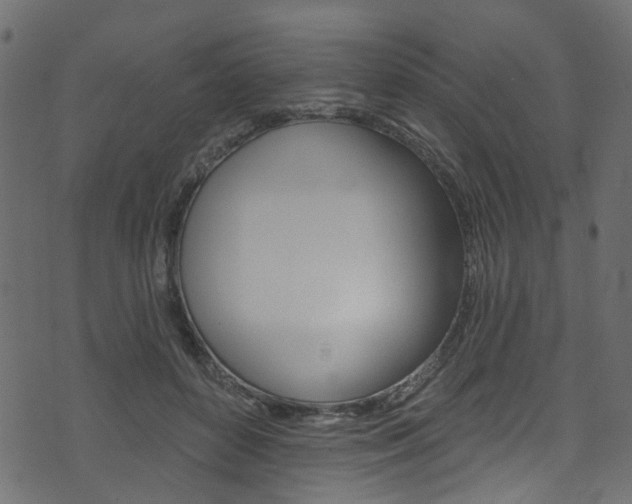 X0000074340504200608251049