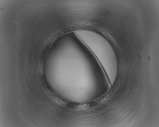 X0000074340505200608251049