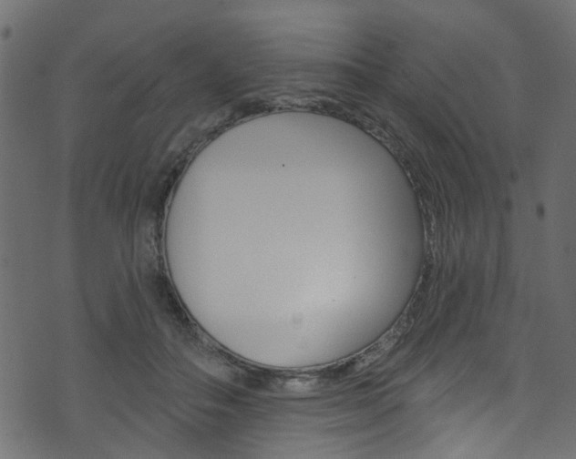 X0000074340506200608251049