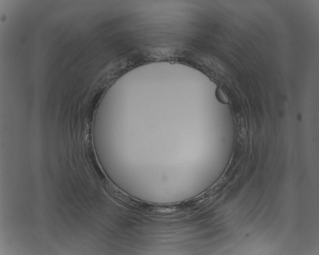 X0000074340507200608251049