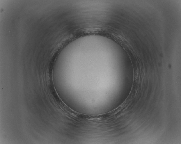 X0000074340508200608251049