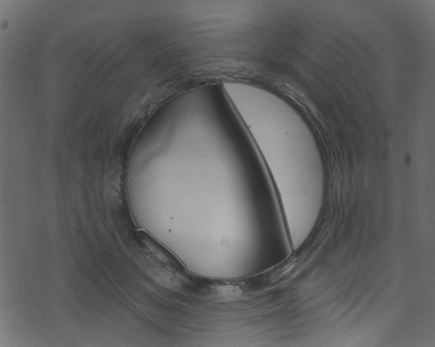 X0000074340509200608251049