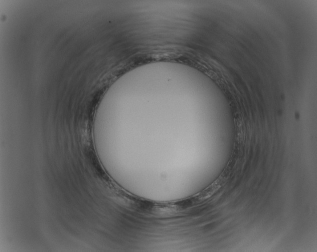 X0000074340510200608251049