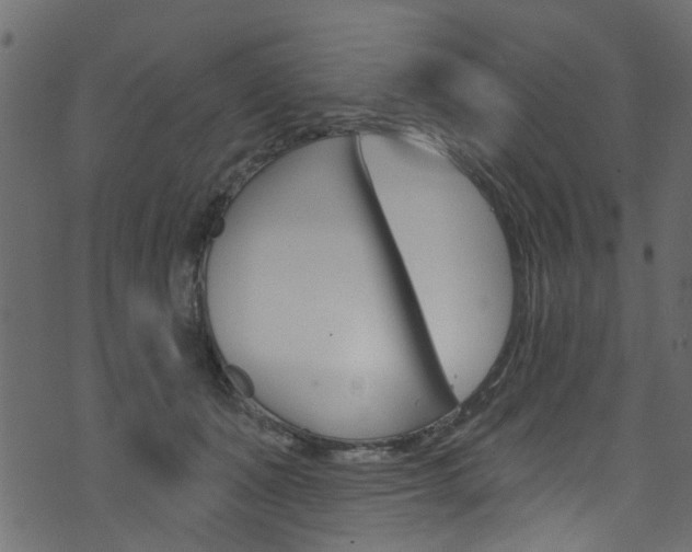 X0000074340511200608251049