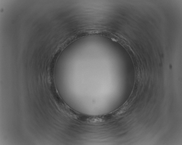 X0000074340512200608251049