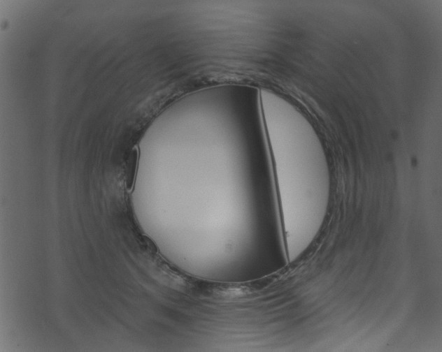 X0000074340513200608251049