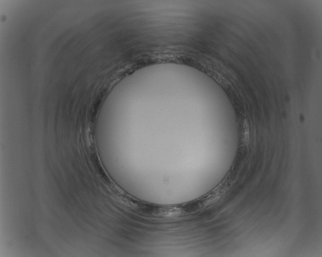 X0000074340514200608251049