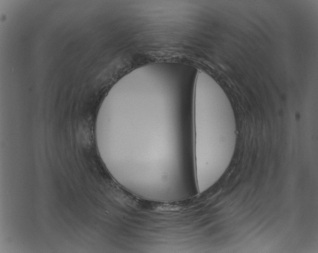 X0000074340515200608251049