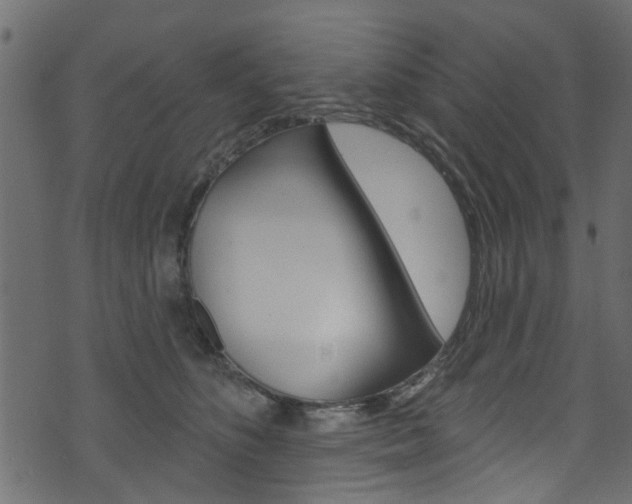 X0000074340516200608251049