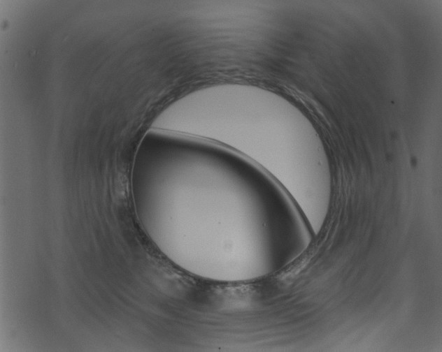 X0000074340517200608251049