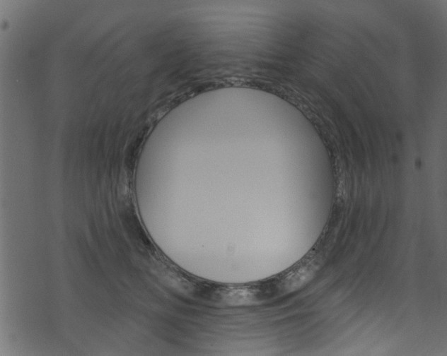 X0000074340518200608251049